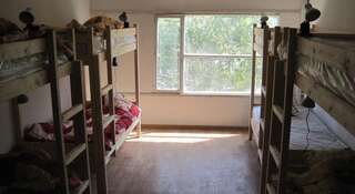 Гостиница Gnezdyshko Hostel Ялта Кровать в общем 10-местном номере для мужчин и женщин-3